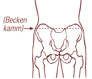 beckenkamm-messung.jpg